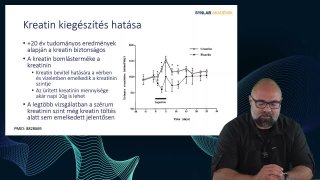 17_Kreatin kiegészítés hatása