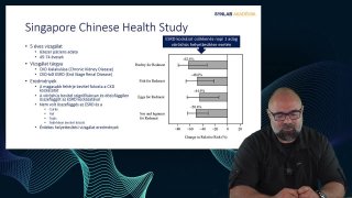 19_Protein bevitel vizsgálatok