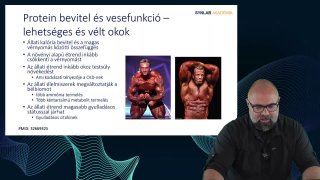 20_Protein bevitel és vesefunkció