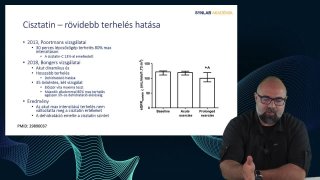 08_Cisztatin-különböző terhelések