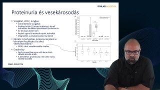 13_Proteinuria és vesekárosodás