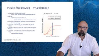 Inzulinérzékenység nyugalomban