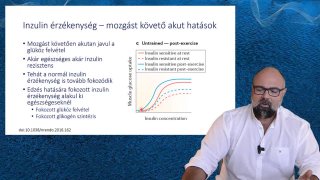 Inzulinérzékenység mozgást követő akut hatások