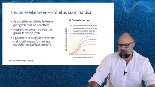 Inzulinérzékenység krónikus sport hatására