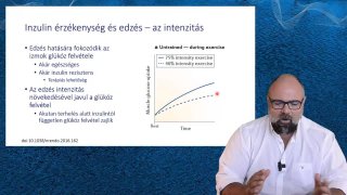 Inzulinérzékenység edzés - intenzitás