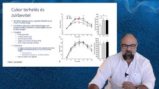 Cukorterhelés és zsírbevitel