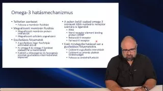 Omega-3 hatásmechanizmus