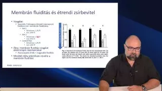 Omega-3 index vörösvértest membrán fluiditás