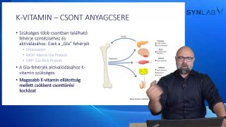 K Vitamin - A csont anyagcseréje