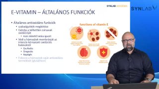 E vitamin - általános hatások