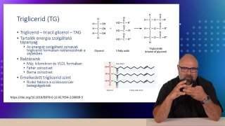 03-Triglicerid