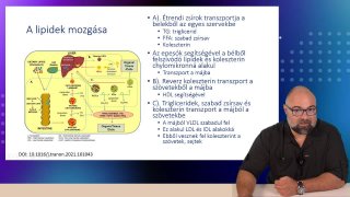 08-A lipidek mozgása