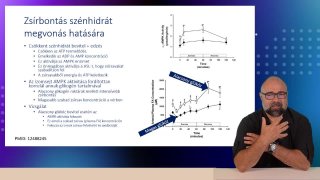 11-Zsírbontás szénhidrát megvonás hatására