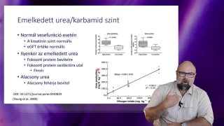 Emelkedett Urea szint