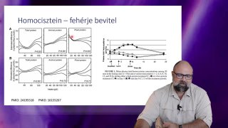 Homocisztein - Fehérjebevitel