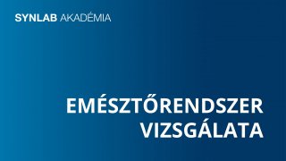 Emésztőrendszer vizsgálata