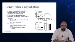 Citrullin hatása a permeabilitásra