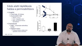 Edzés alatti táplálkozás hatása a permeabilitásra