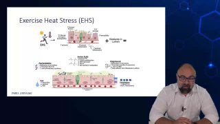 Az Exercise Heat Stress (EHS)