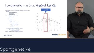 Sportgenetika-az összefüggések logikája