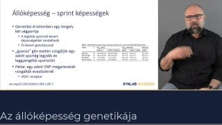 Állóképesség-sprintképességek