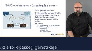 GWAS-teljes genom összefüggés elemzése