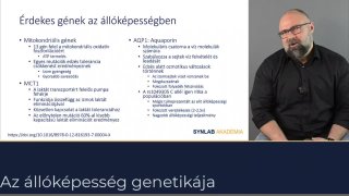 Érdekes gének az állóképességben