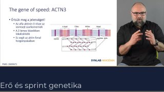 Erő és sprint genetikája-ACTN3