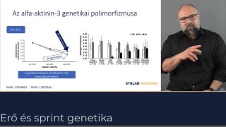 Az alfa-aktinin-3 genetikai polimorfizmusa