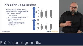 Alfa-aktinin-3-a gyakorlatban