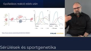 Gyulladásos reakció edzés után