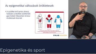 Az epigenetikai változások örökletesek