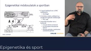 Epigenetikai módosulatok a sportban