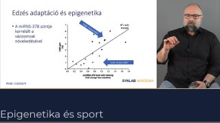 Edzésadoptáció és sportgenetika