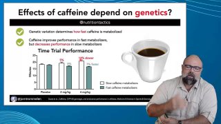 Koffein metabolizmus