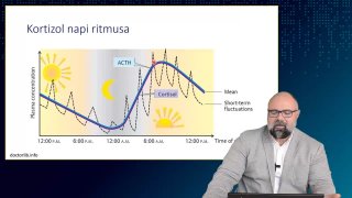 Kortizol napi ritmusa