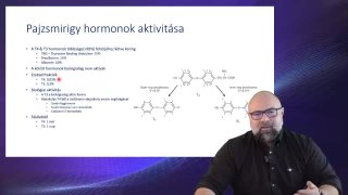 06 Pajzsmirigy hormonok aktivitása