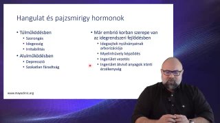 16 Hangulat és pajzsmirigy hormoonok