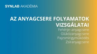 04 Az anyagcsere folyamatok vizsgálatai