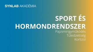 05 Sport és hormonrendszer