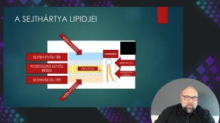 02 Sejthártya lipidjei