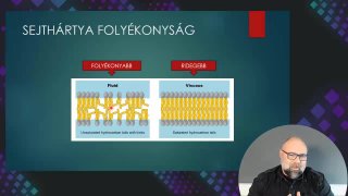 04 Sejthártya folyékonyság