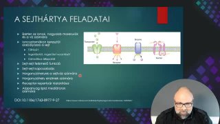 05 Sejthártya feladatai