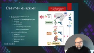 07 Érzelmek és lipidek