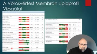 08 Vöröstvértest membrán lipidprofil vizsgálat