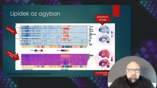 14 Lipidek az agyban