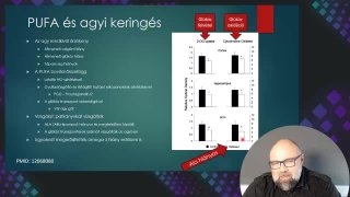 15 PUFA és agyi keringés