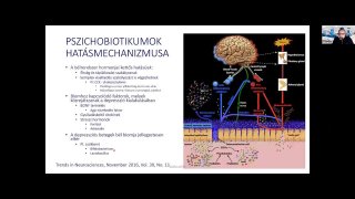 10 Pszichobiotikumok hatásmechanizmusai