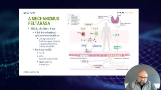 A mechanizmus feltárása