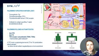 A hashimoto betegség lényege